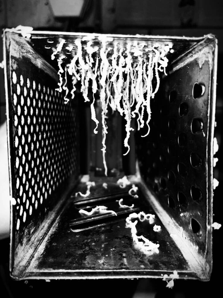 Фотография автора Марина Кожемякина