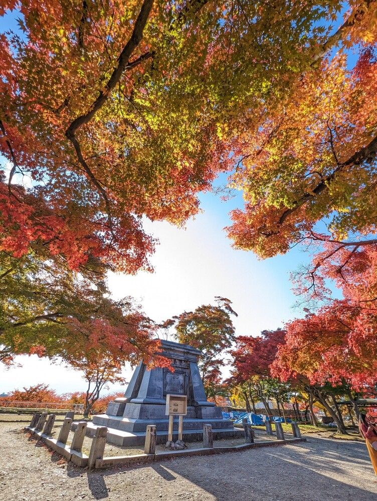 Фотография автора ron._. stagram