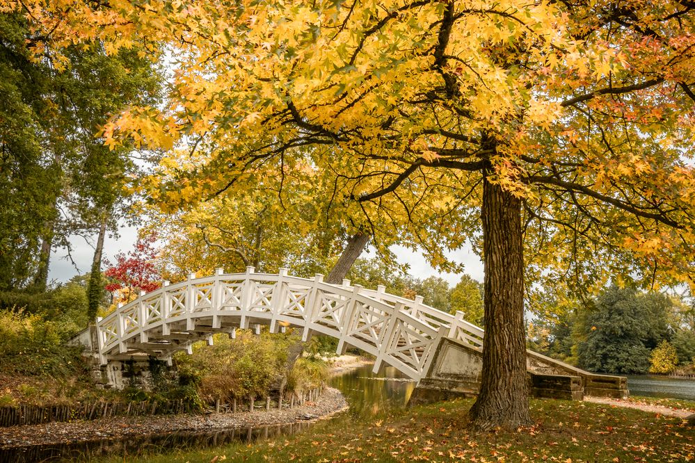 Wörlitzer Park