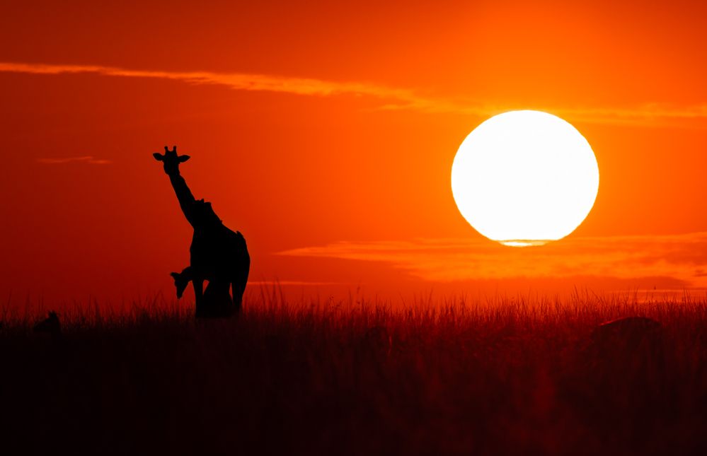 Mother’s Nurturing