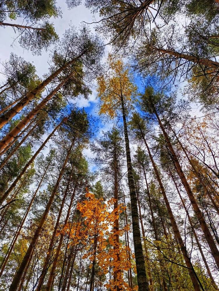 Photograph by Наталья Романова