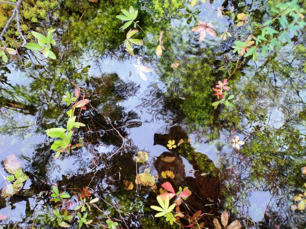 Photograph by Михаил Мархинин