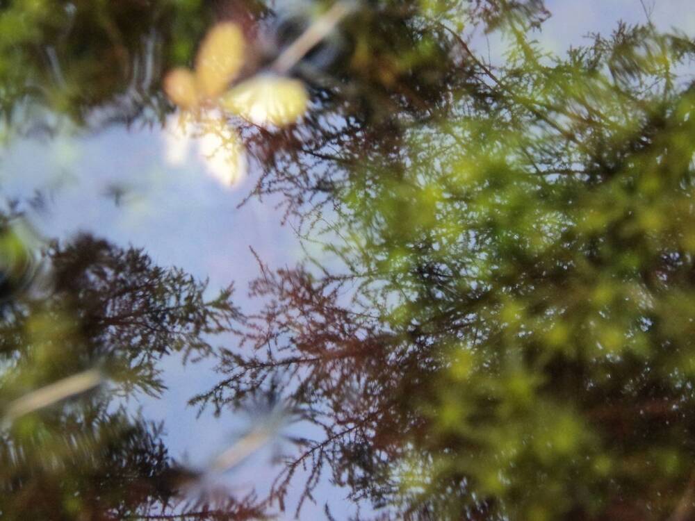 Photograph by Михаил Мархинин