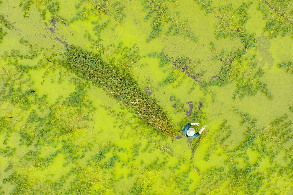 Photograph by Phong Hao Hoang Nguyen