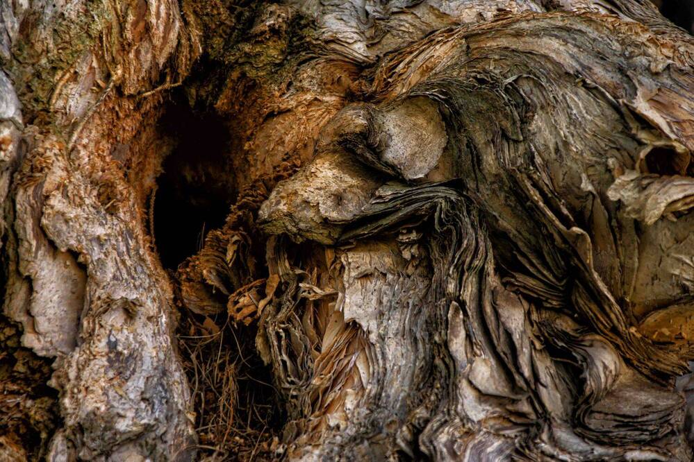 Photograph by Maribel Pérez Velázquez