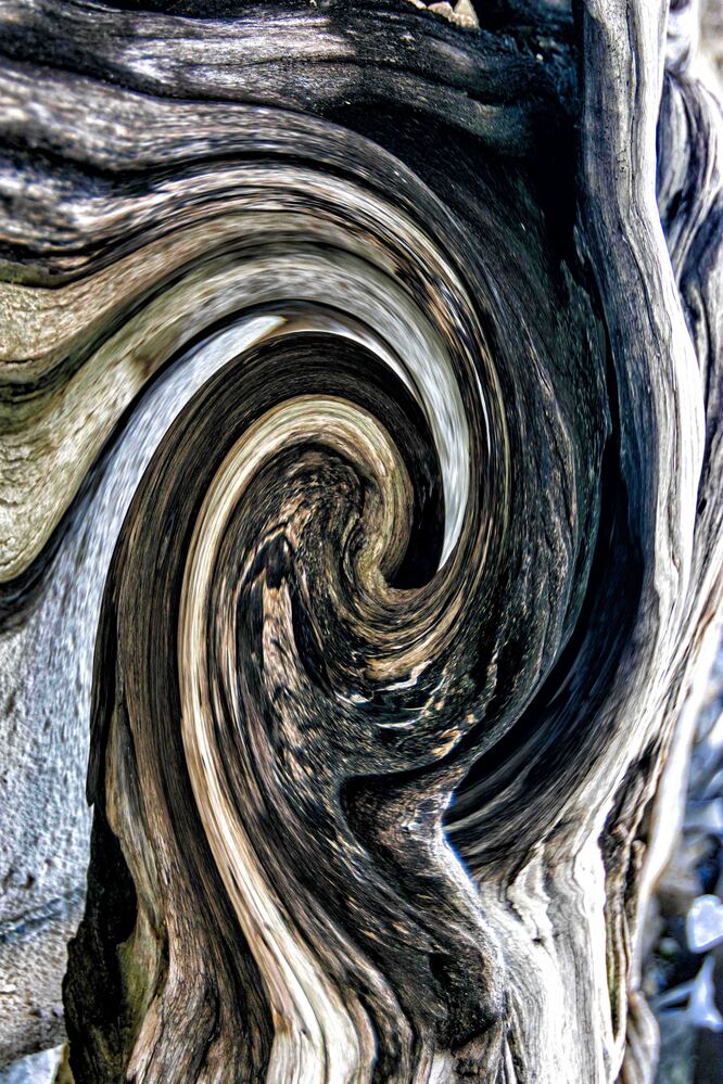 Photograph by Maribel Pérez Velázquez