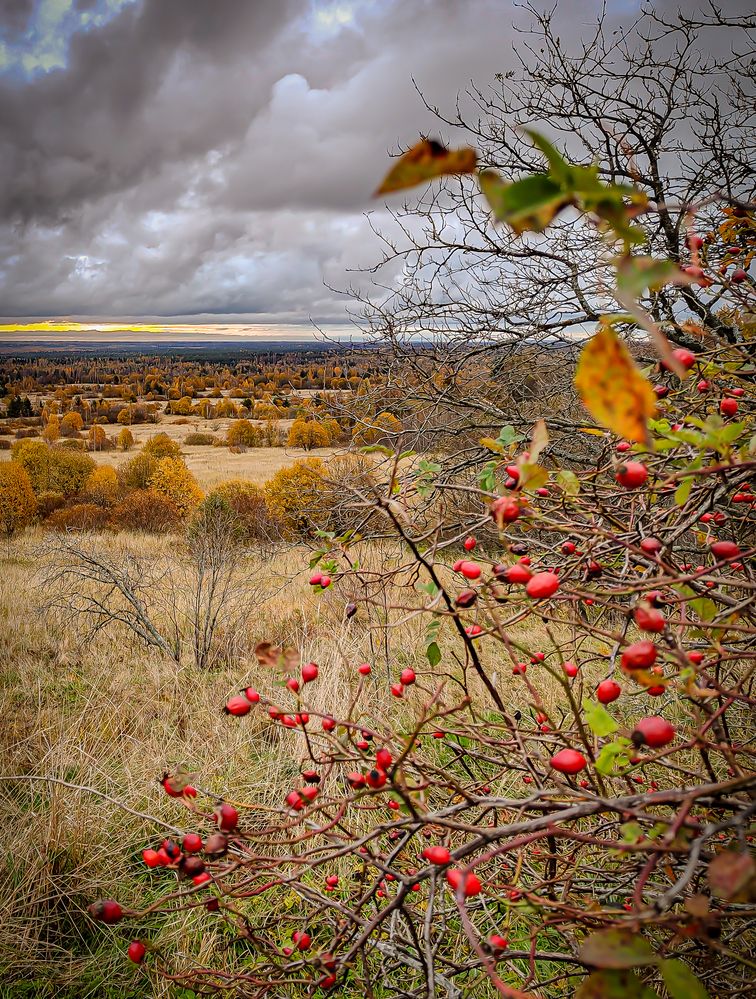 Фотография автора Михаил Швайко