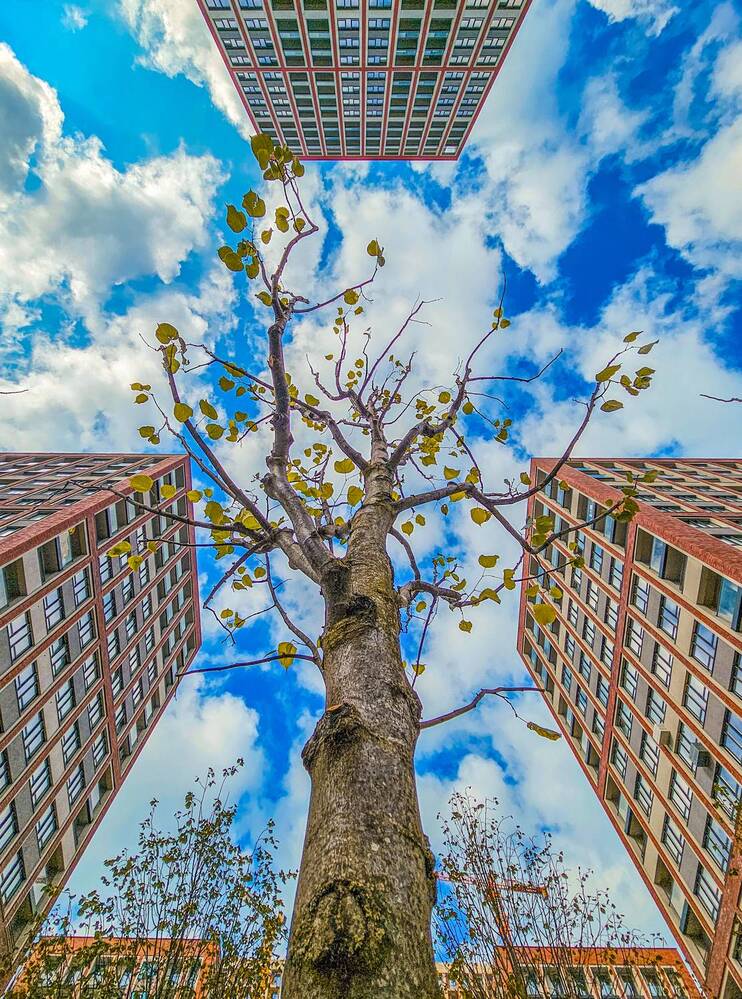 Photograph by Сергей Кесаев