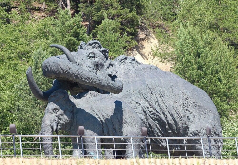 Photograph by Kim Natasha