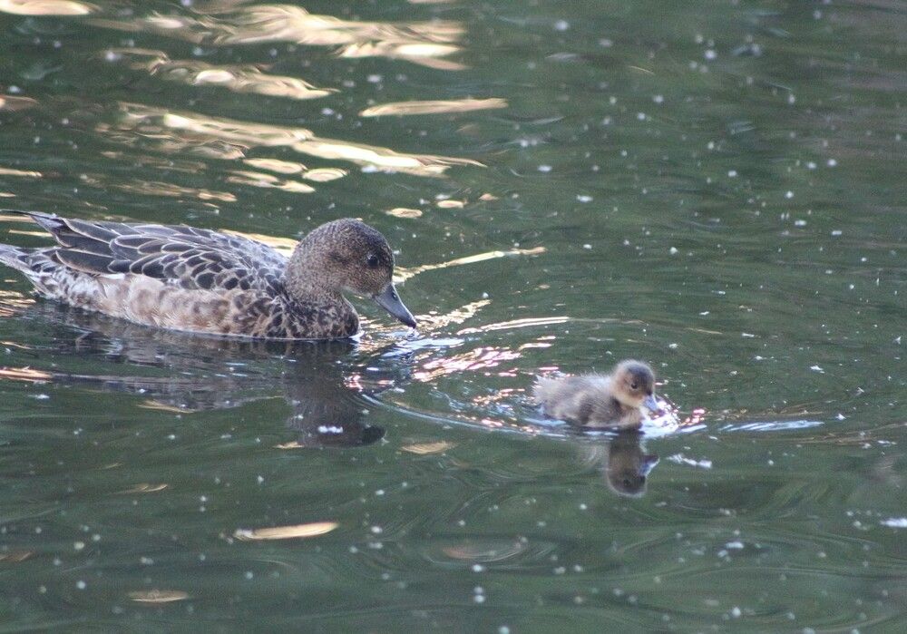 Photograph by Kim Natasha