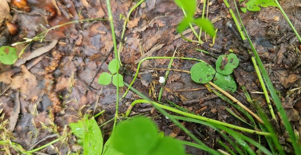 Photograph by Kim Natasha