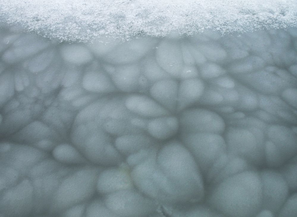 Photograph by Ионова Татьяна