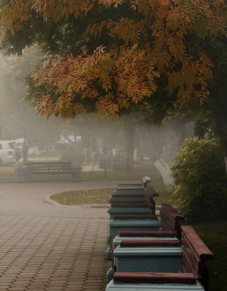 Фотография автора Елена Меньшикова