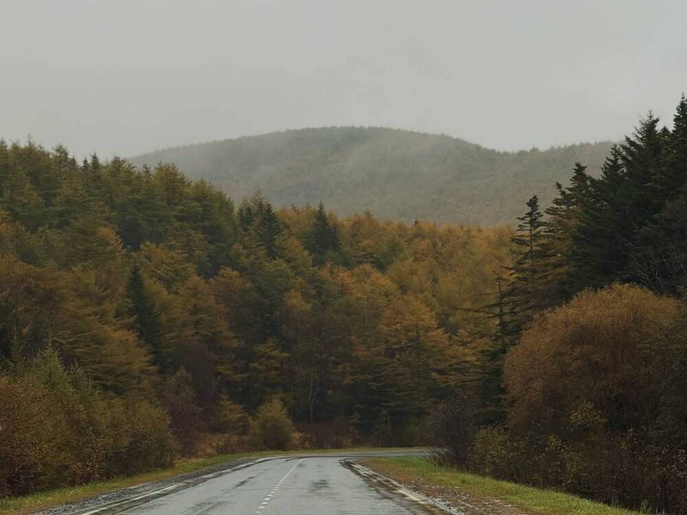 Фотография автора Елена Меньшикова