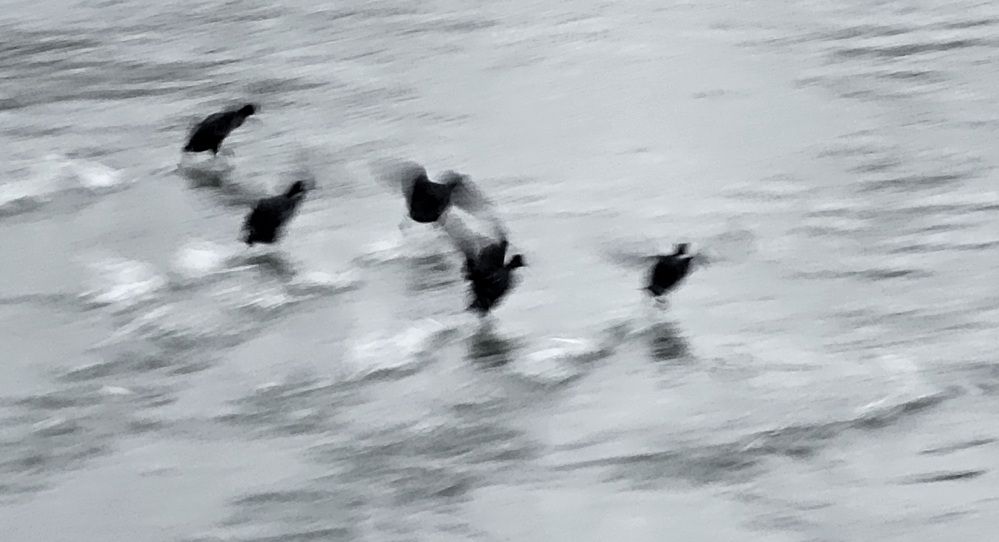 Photograph by Пирог Борис