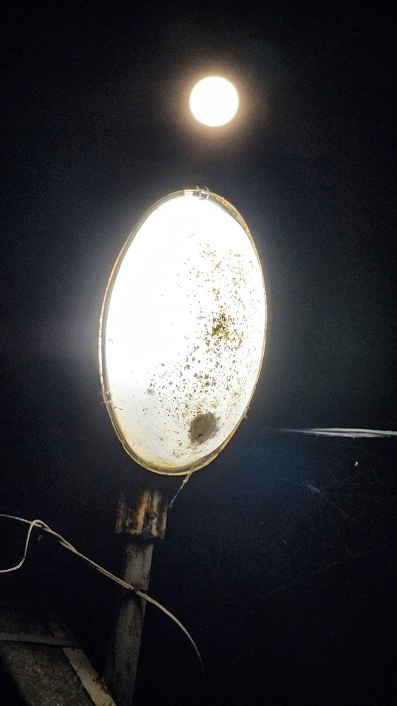 Photograph by Пирог Борис