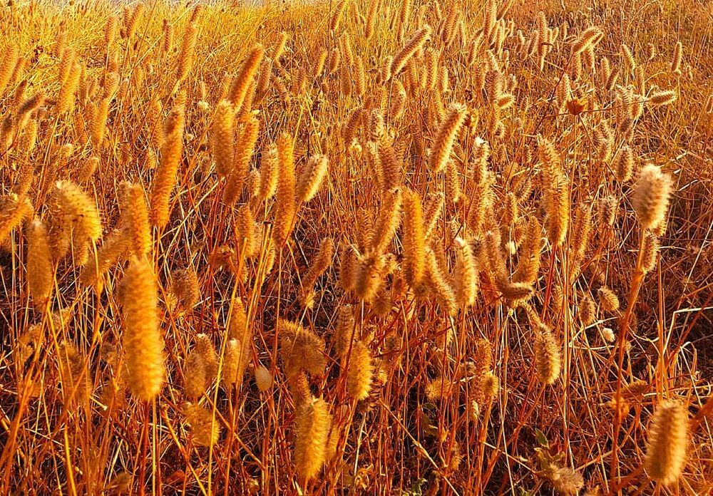 Фотография автора Igor