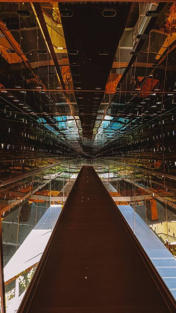 Photograph by Мария Петровцева