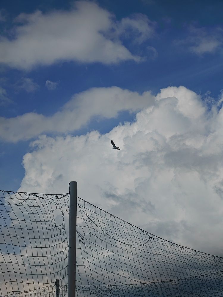 Photograph by Павел