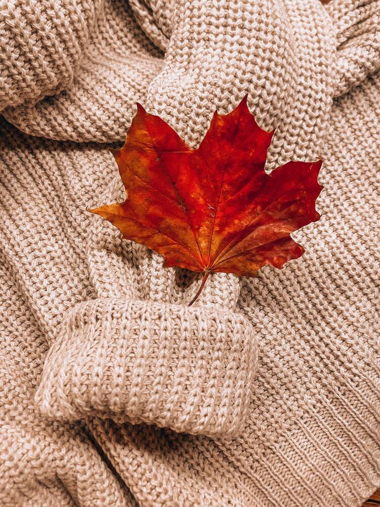 Photograph by Татьяна Кучеренко