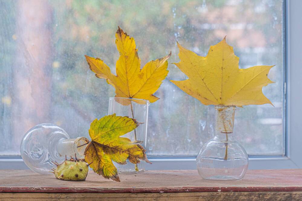 Photograph by Виталий Маслов