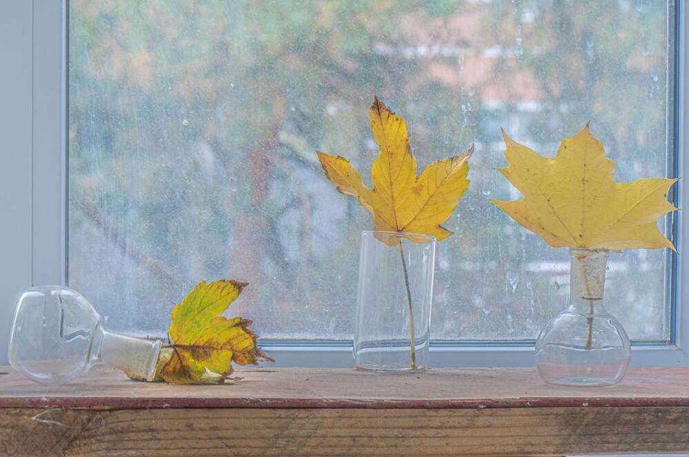 Photograph by Виталий Маслов