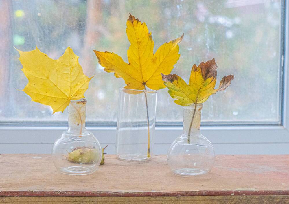 Photograph by Виталий Маслов