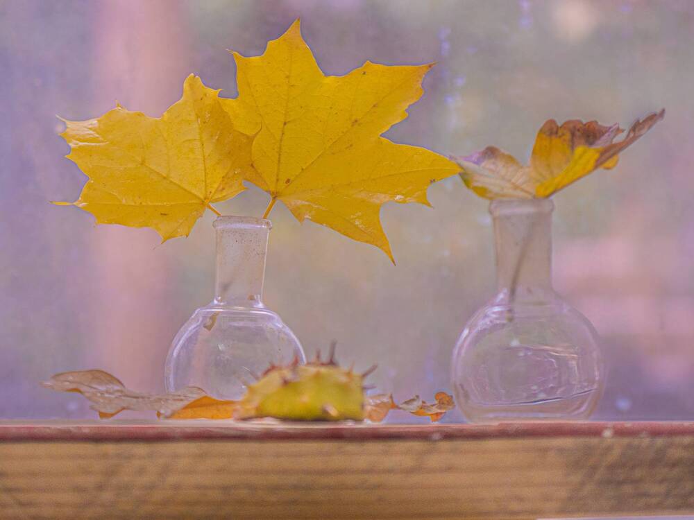 Photograph by Виталий Маслов