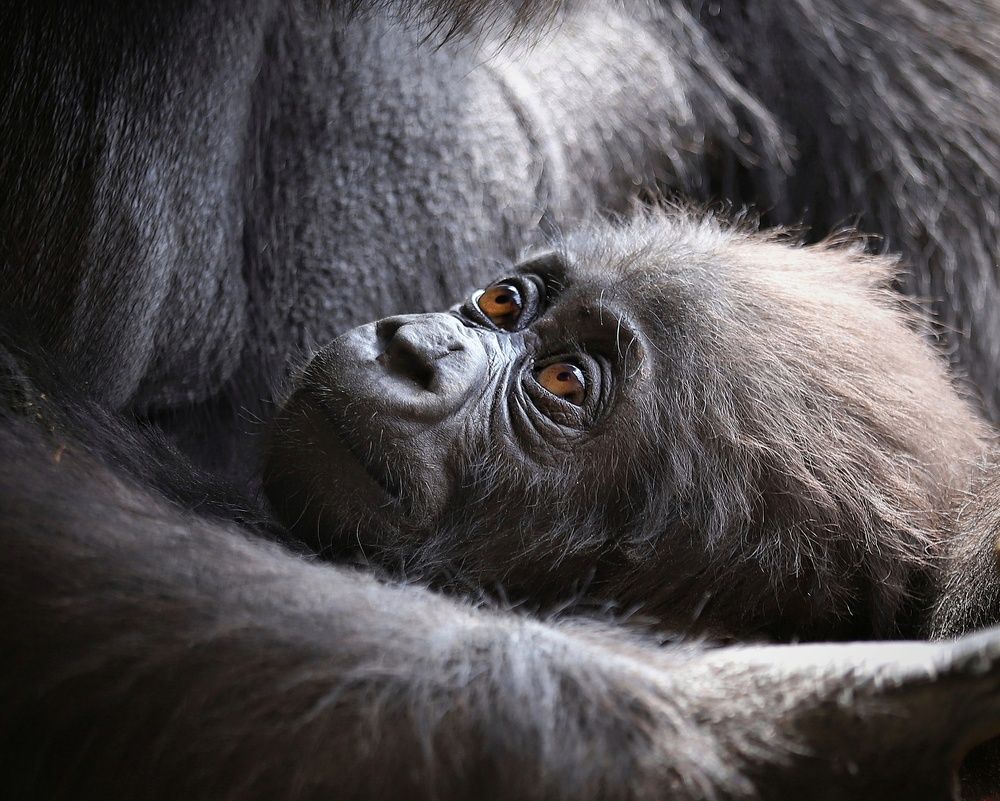 Photograph by Елена Кириллова