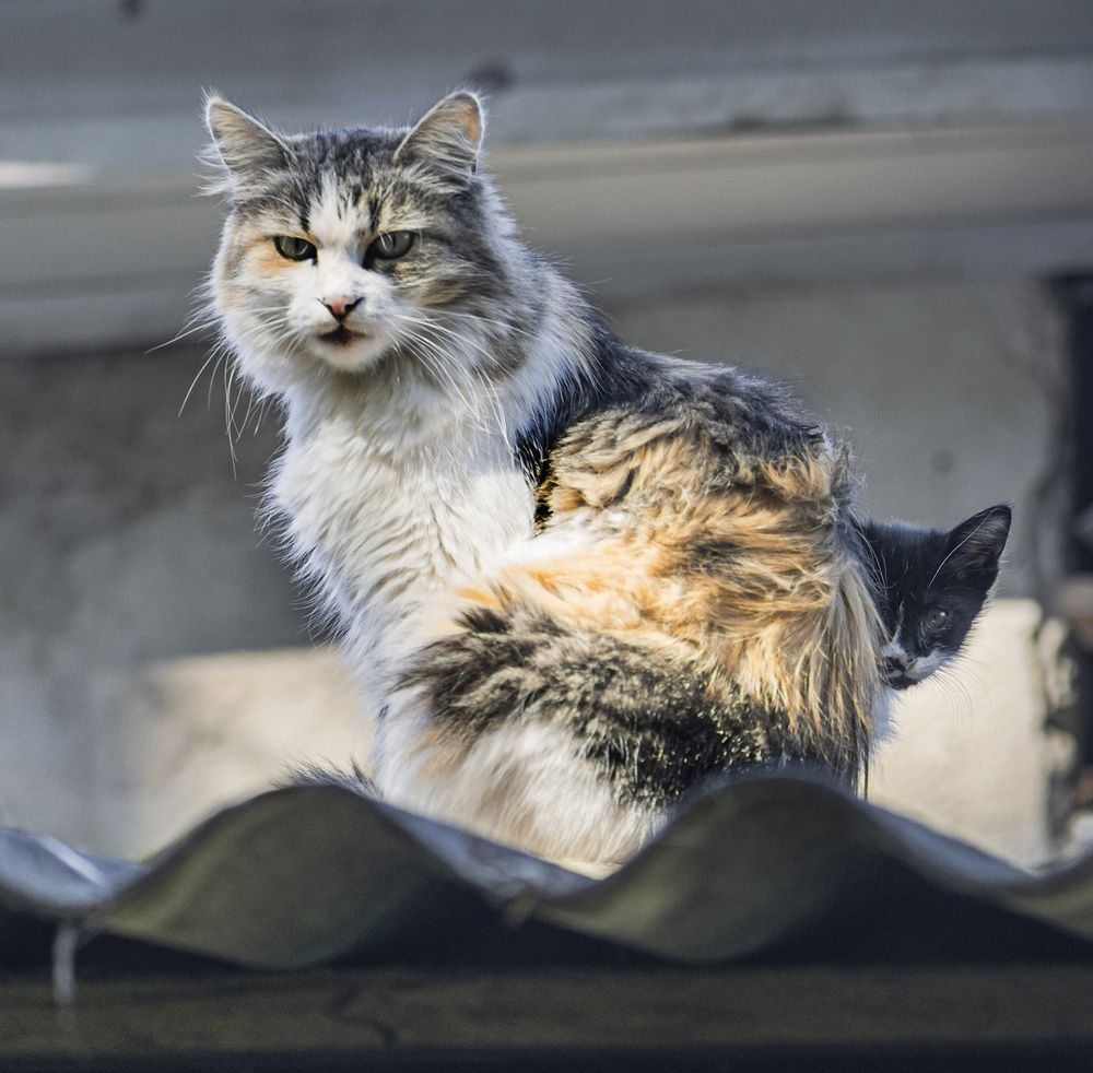 Photograph by ПУЗЕНКО ДМИТРИЙ