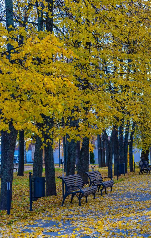 Photograph by Воробьёв Константин