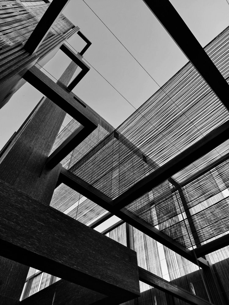 Фотография автора robot