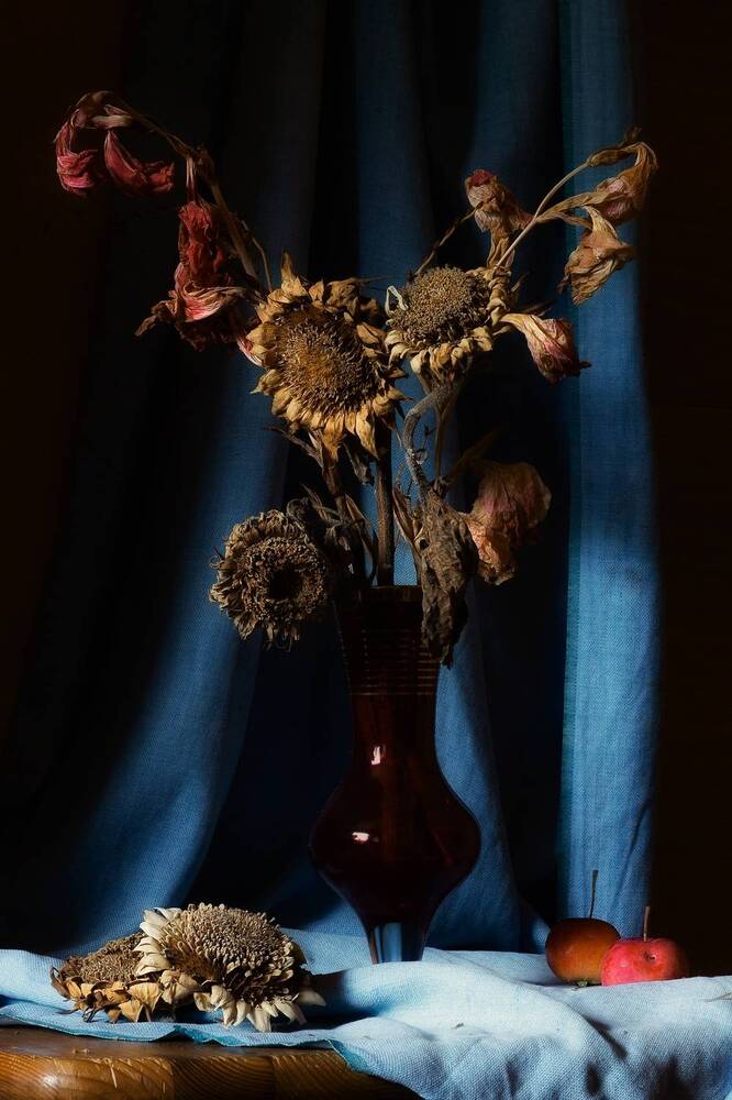 Фотография автора Екатерина Першина