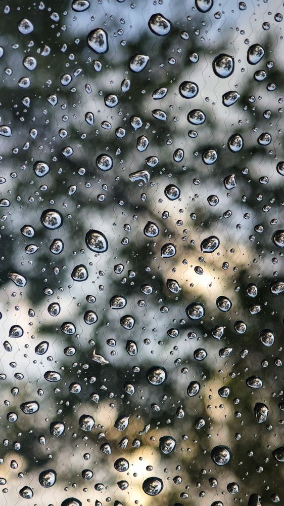 Photograph by Суворова Валентина