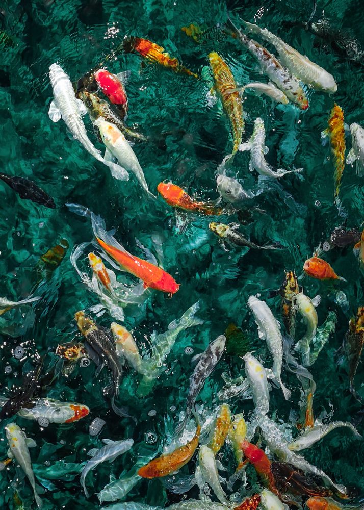 Photograph by Суворова Валентина