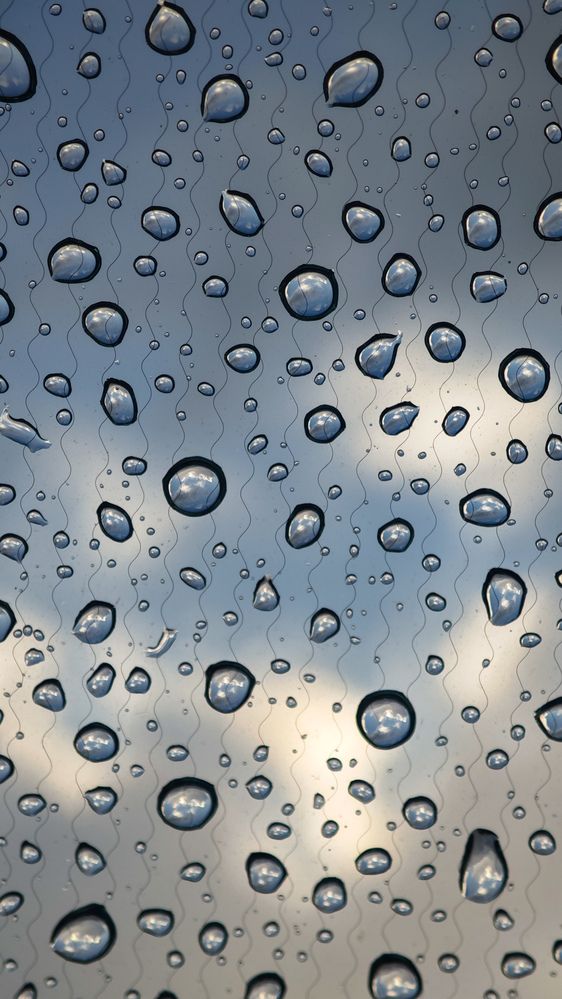 Photograph by Суворова Валентина