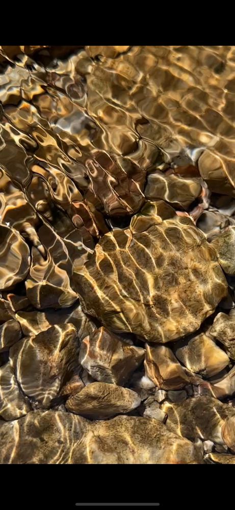 Фотография автора Swetlana Brenitsch