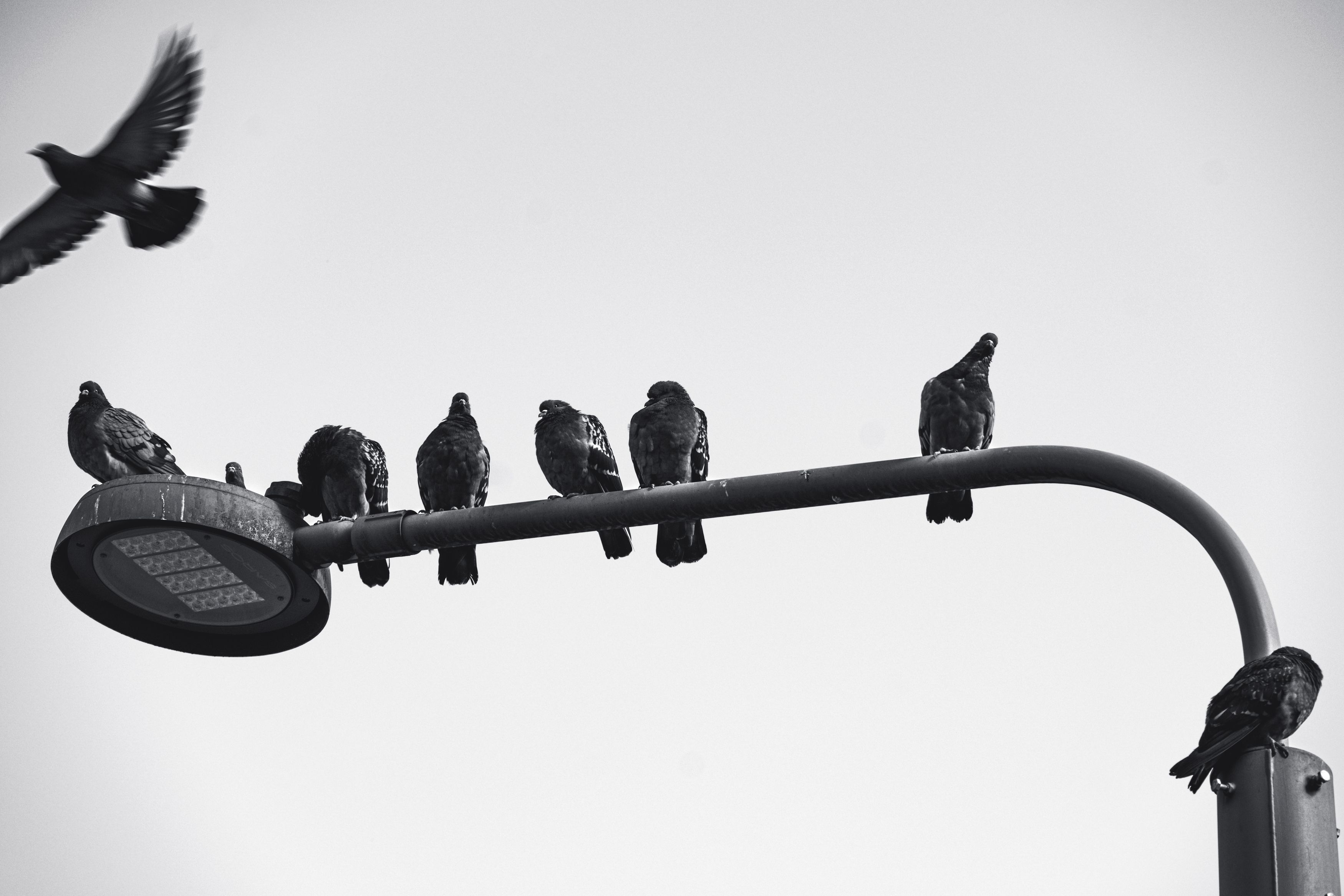 Photograph by Tatiana Shtun