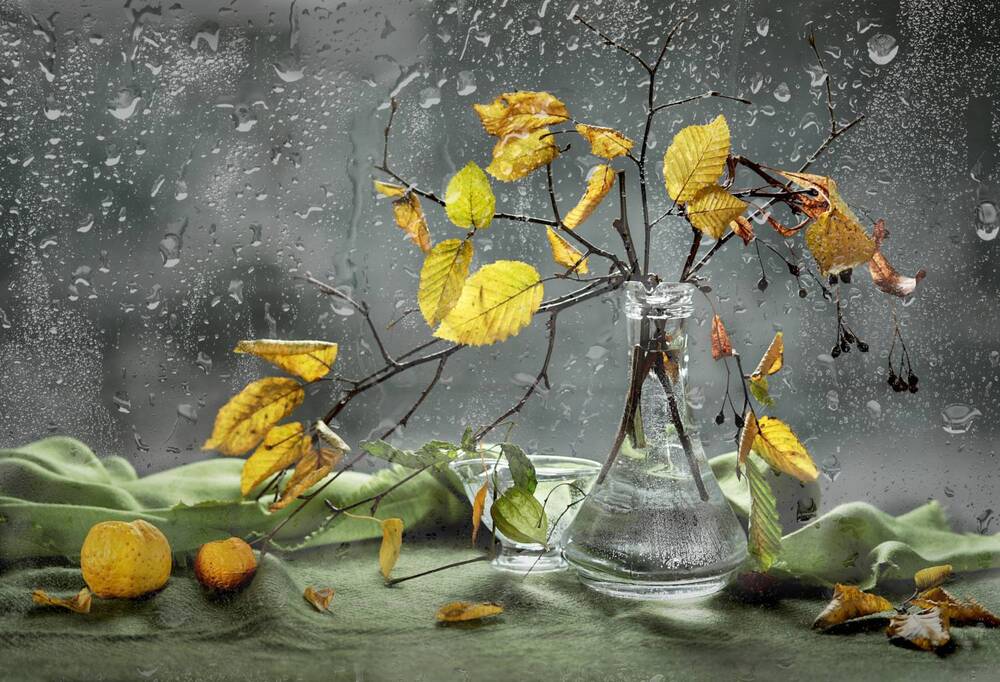 Photograph by Шруб (Беляева) Татьяна