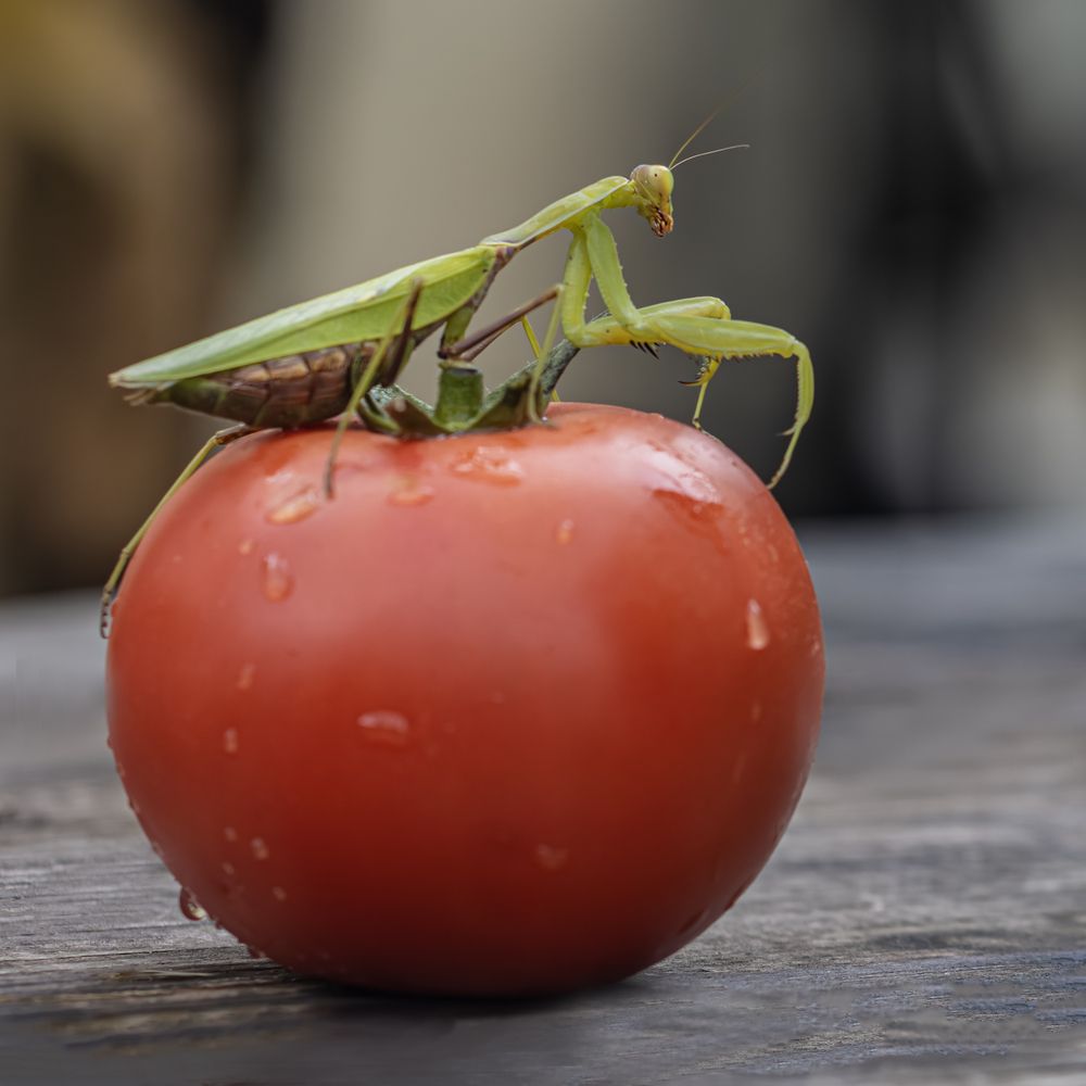 Photograph by Басыров Валерий