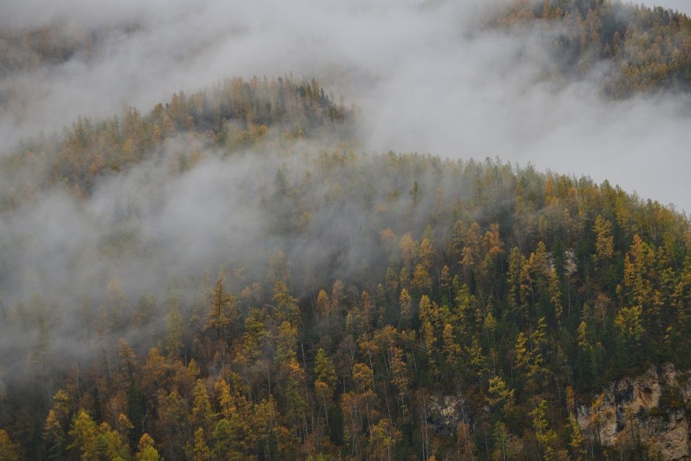 Photograph by Margareth Tikhonova