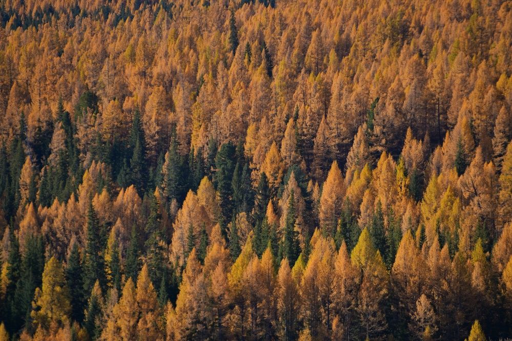 Photograph by Margareth Tikhonova