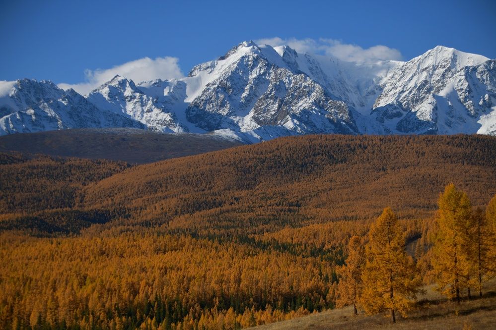 Photograph by Margareth Tikhonova