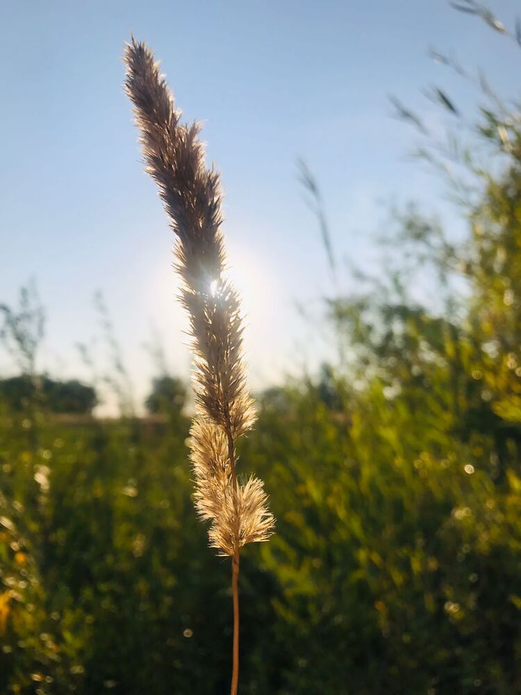 Photograph by Алексей