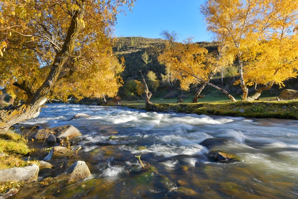 Photograph by Margareth Tikhonova