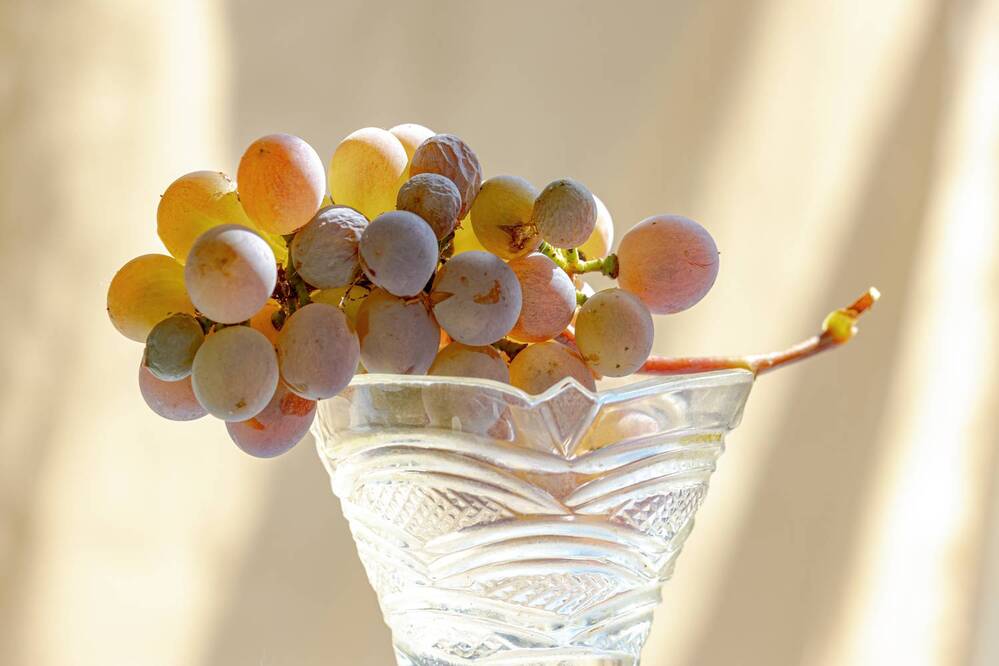 Photograph by Басыров Валерий