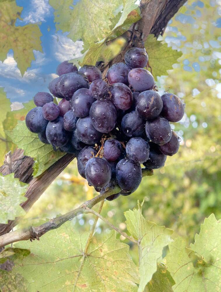 Photograph by Басыров Валерий