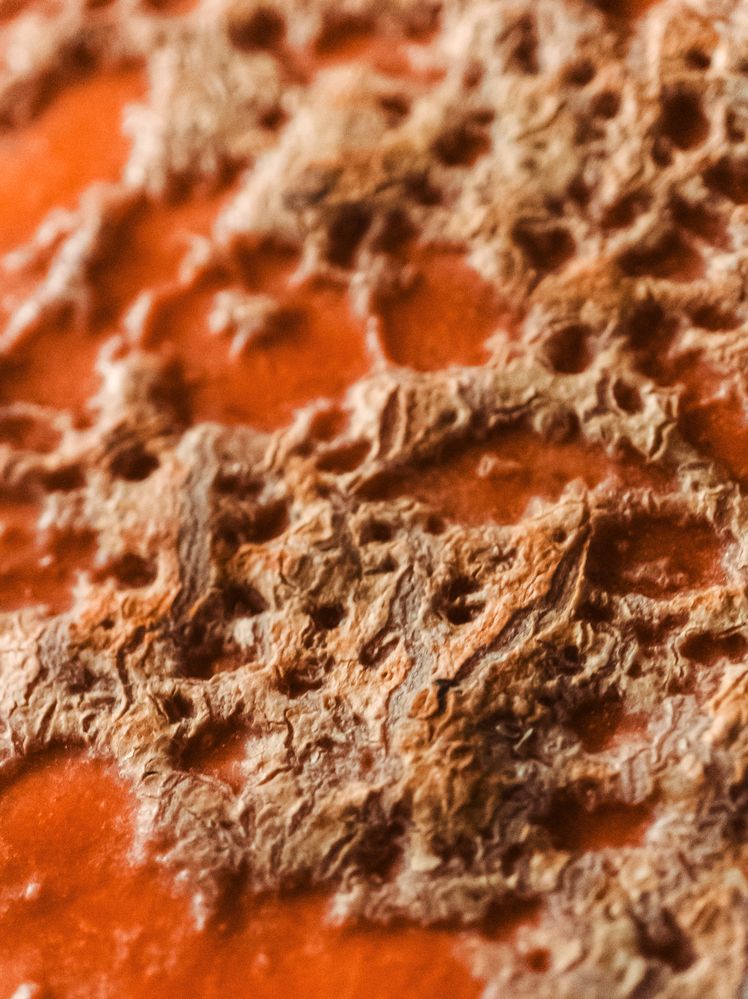 Photograph by Анастасия Карпова