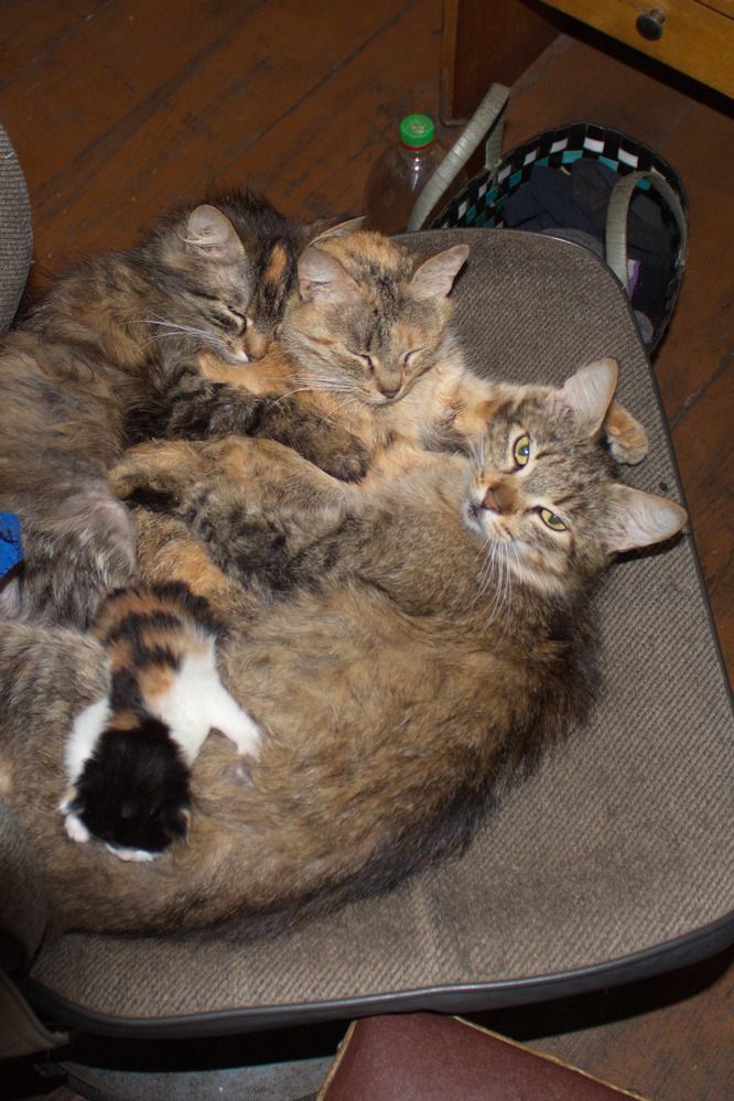 Photograph by Анна-Лаймуте Милошевич