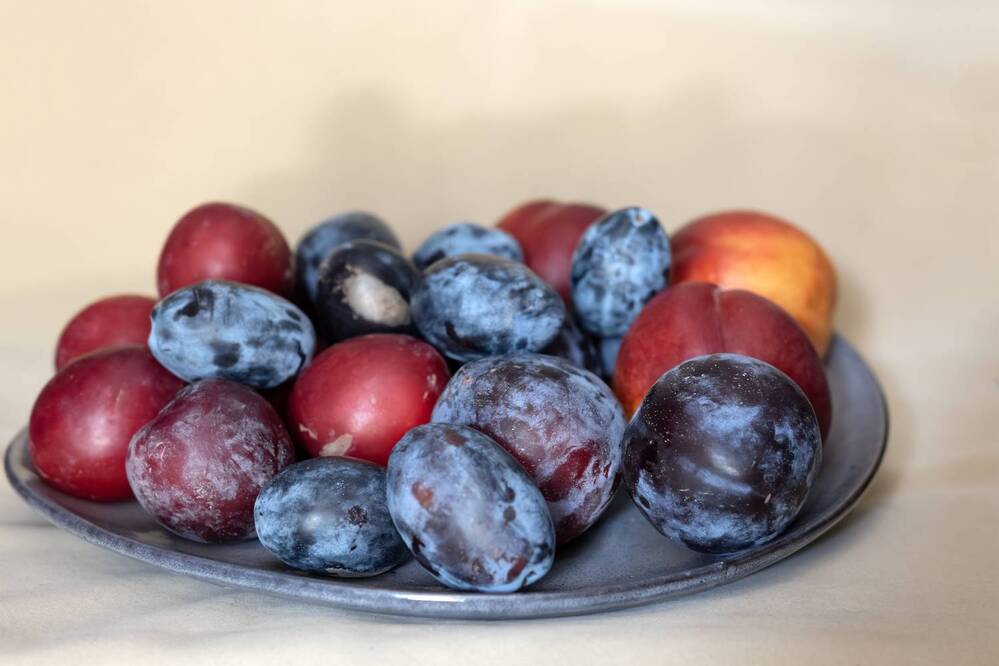 Photograph by Басыров Валерий